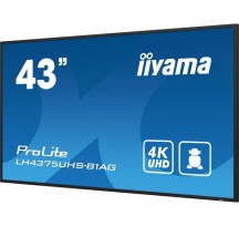 IIYAMA Monitor 42.5 cala ProLite LH4375UHS-B1AG,24/7,IPS,ANDROID 11