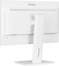 IIYAMA Monitor 24 cale XUB2497HSN-W1 IPS,USB-C Dock,HDMI,DP