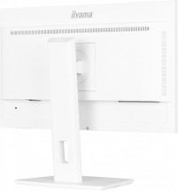 IIYAMA Monitor 24 cale XUB2497HSU-W2 IPS, HDMI, DP, 2x2W, 2xUSB, Pivot, HAS(150mm)