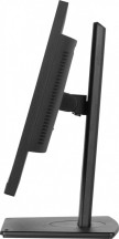 IIYAMA Monitor 24 cale XUB2497HSN-B2 IPS, USB-C Dock, HDMI, DP, 300cd, Pivot, HAS