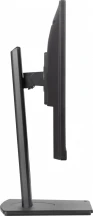 IIYAMA Monitor 23.8 cala ProLite XUB2493HS-B6 IPS.HDMI.DP.2x2W.HAS