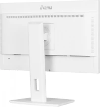 IIYAMA Monitor 24 cale XUB2497HSN-W1 IPS,USB-C Dock,HDMI,DP